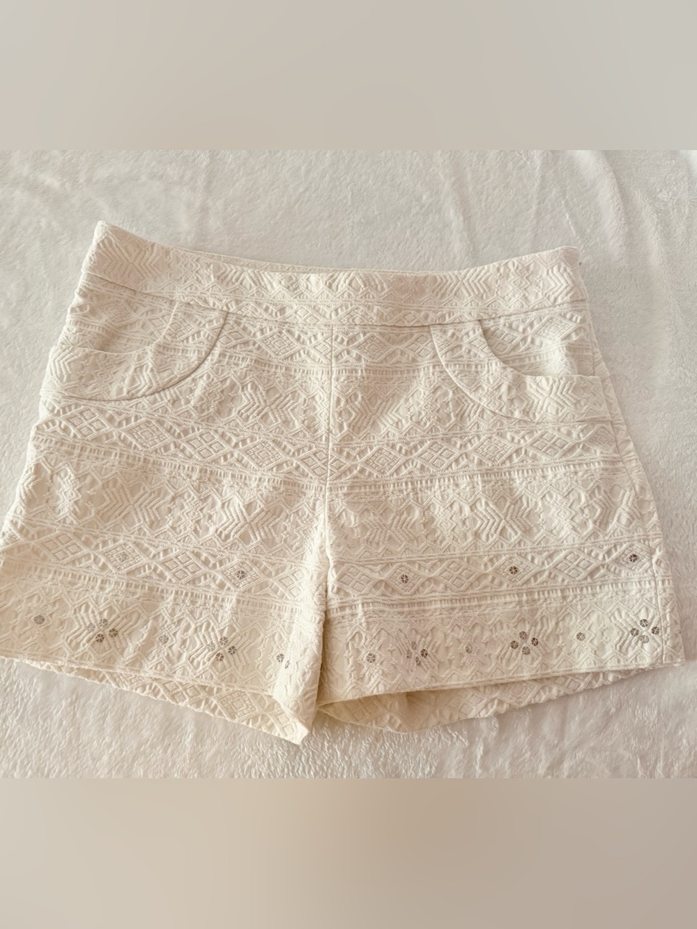 Anthropologie Elevenses Beyza Ivory Embroidery Silver Embellish Sequins Shorts 8